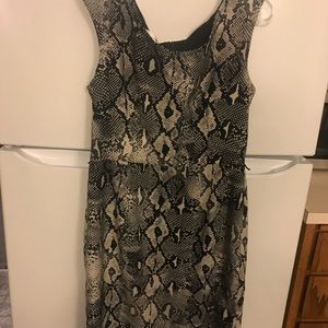 London Style snake print dress